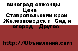 виноград саженцы . › Цена ­ 150 - Ставропольский край, Железноводск г. Сад и огород » Другое   